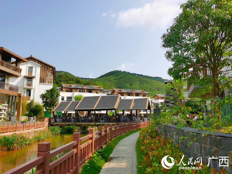 環(huán)境優(yōu)美的南國鄉(xiāng)村。人民網(wǎng) 付華周攝