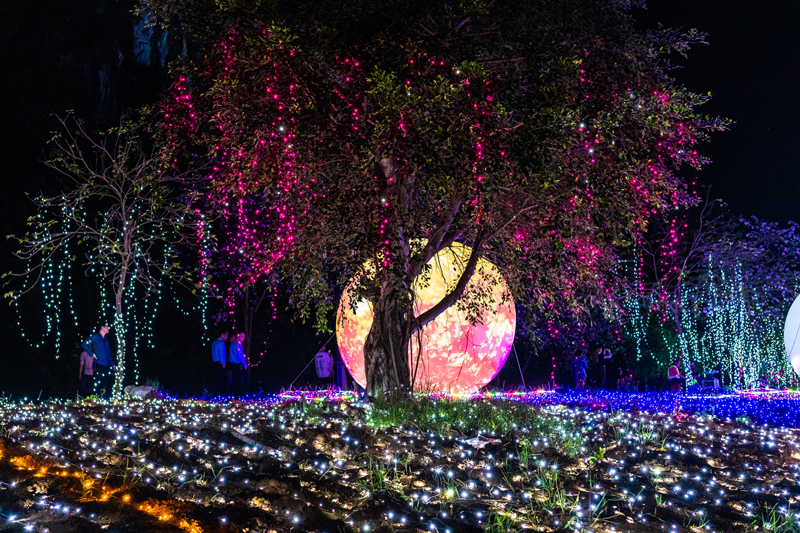 游客在游覽鐘山水墨田園景區(qū)“夢回大唐·不夜城”。莫瑞興攝