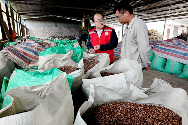 駐村工作隊了解雙達村產(chǎn)業(yè)發(fā)展情況。自治區(qū)財政廳派駐凌云工作隊供圖
