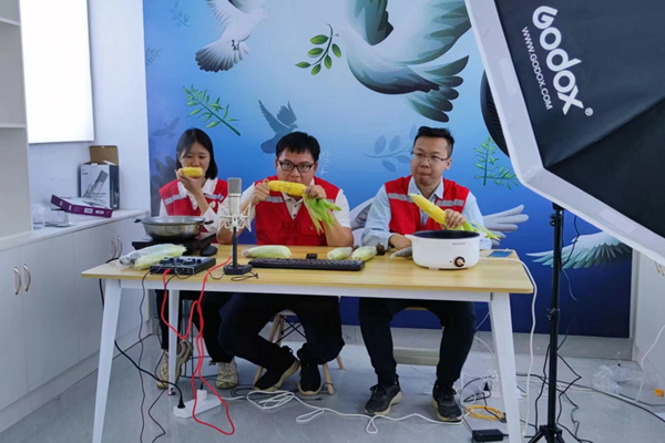 駐陶化村工作隊直播帶貨。自治區(qū)財政廳派駐凌云工作隊供圖