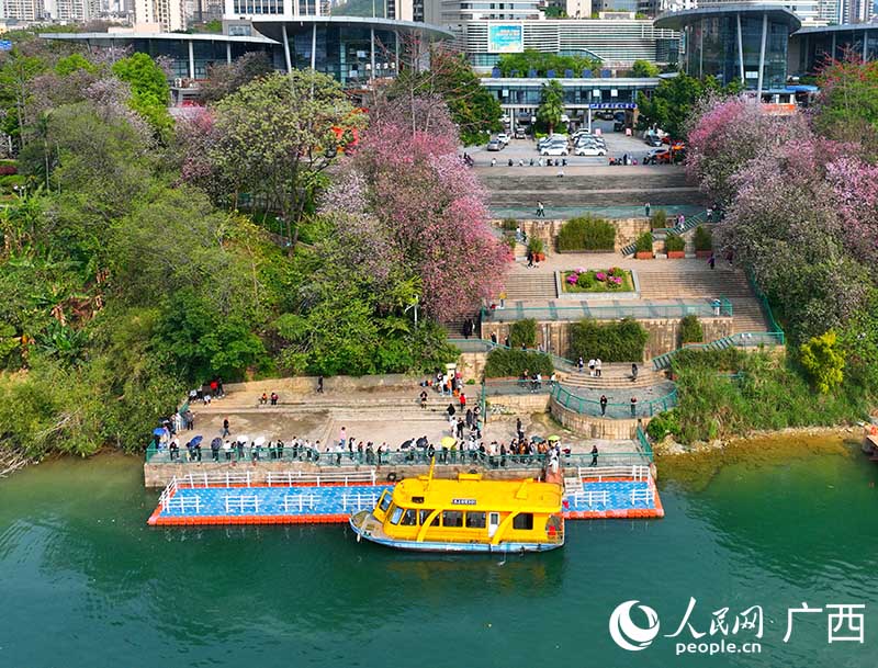 水上公交?？苛輺|堤碼頭。人民網(wǎng) 付華周攝