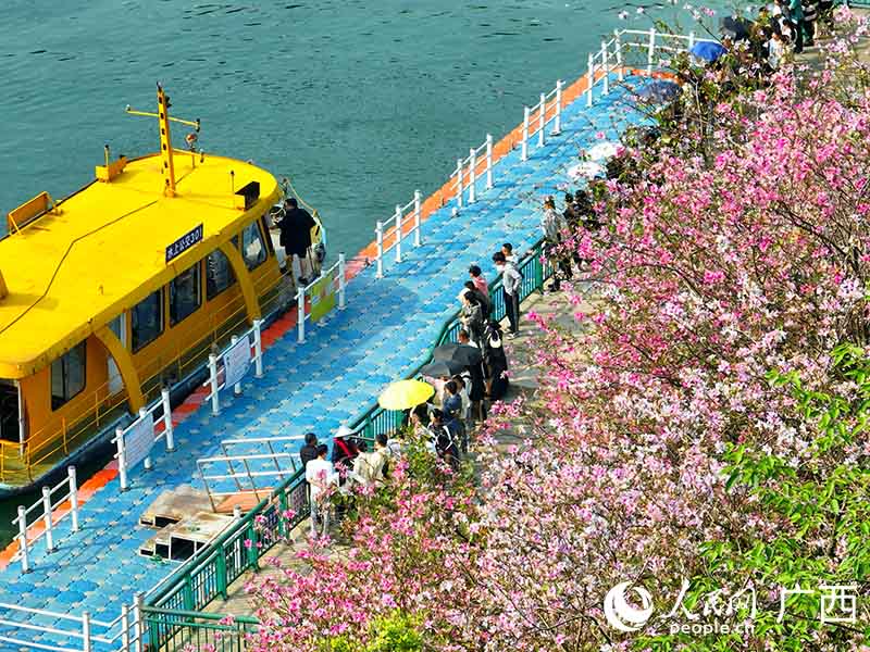 游客在東堤碼頭排隊乘坐水上公交。人民網(wǎng) 付華周攝