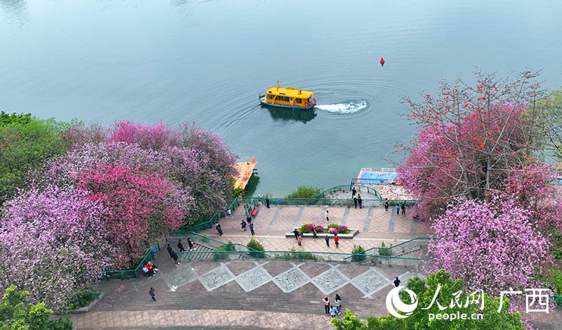 水上公交在柳州東堤碼頭附近水域行駛。人民網(wǎng) 付華周攝