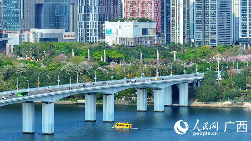 水上公交通過柳州市區(qū)文昌大橋附近水域。人民網(wǎng) 付華周攝