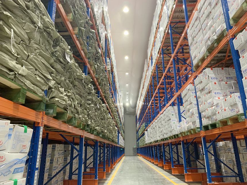 冷鏈倉(cāng)庫(kù)內(nèi)待裝運(yùn)的凍魚(yú)。甘璐攝