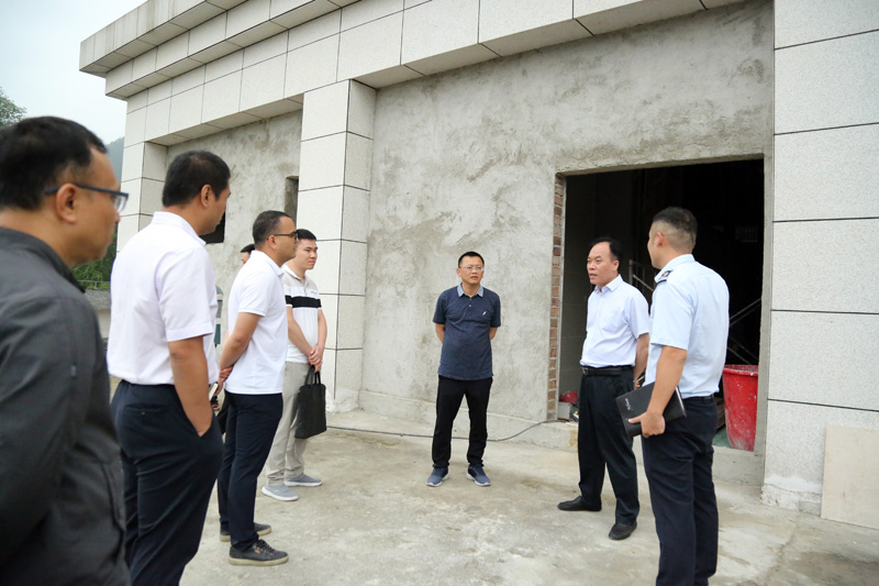 在友誼關(guān)口岸新關(guān)樓推進口岸建設(shè)工作