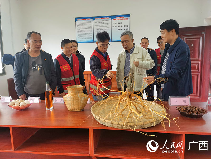 陳明勇（前排左三）正在介紹大新村五指毛桃。人民網(wǎng) 付華周攝