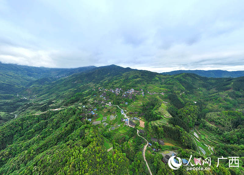位于融水大苗山深處的大新村。人民網(wǎng) 付華周攝