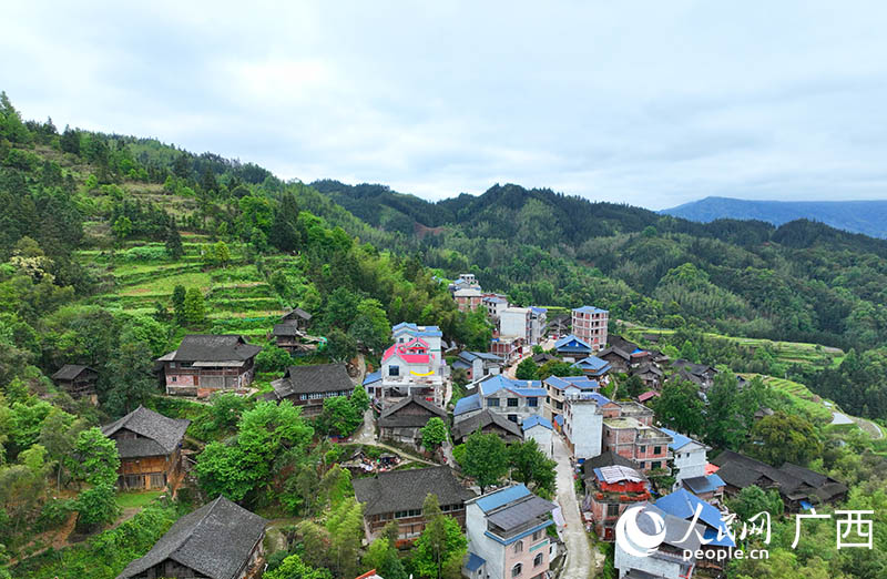 日新月異的大新村。人民網(wǎng) 付華周攝