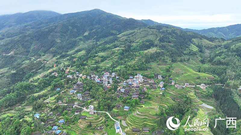 奮進(jìn)中的大新村。人民網(wǎng) 付華周攝