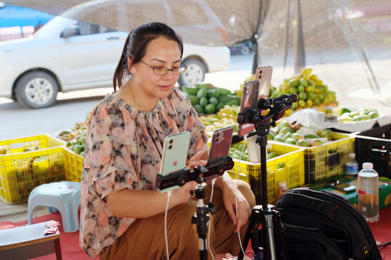 主播直播帶貨，將芒果銷往全國各地。周金鵬攝