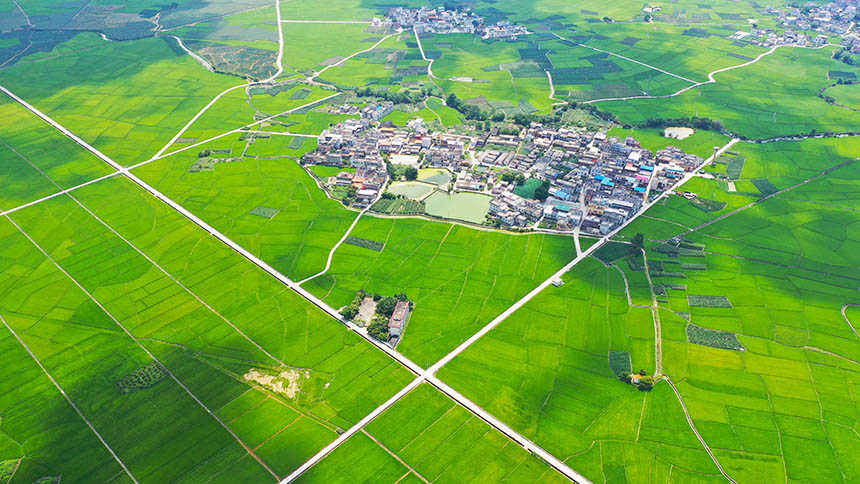 鳥瞰田園風(fēng)光。