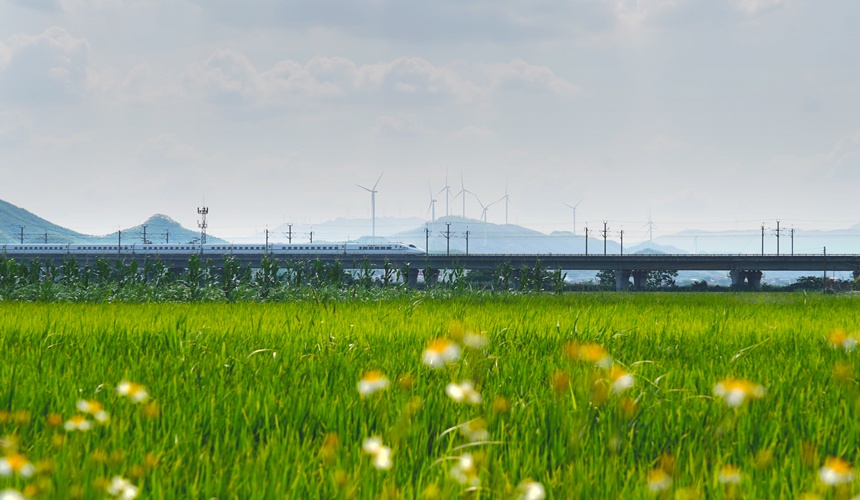 稻田、動(dòng)車與風(fēng)車相互映襯，構(gòu)成了一幅優(yōu)美畫卷。