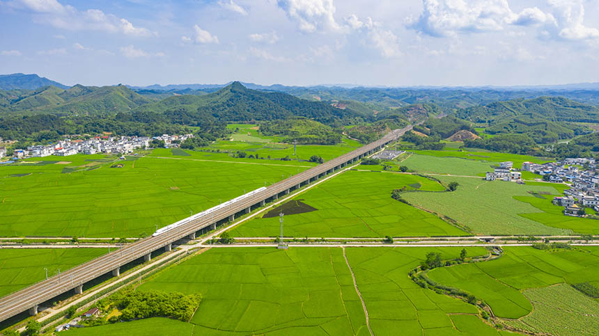 航拍夏日田園風(fēng)光。