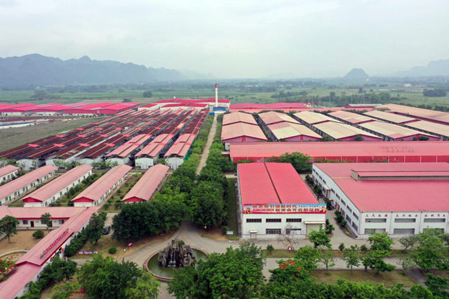 廣西龍州縣北部灣現(xiàn)代農(nóng)業(yè)有限公司廠區(qū)