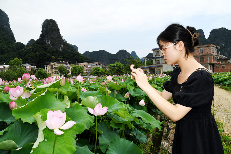 游客在拍攝太空蓮美景。