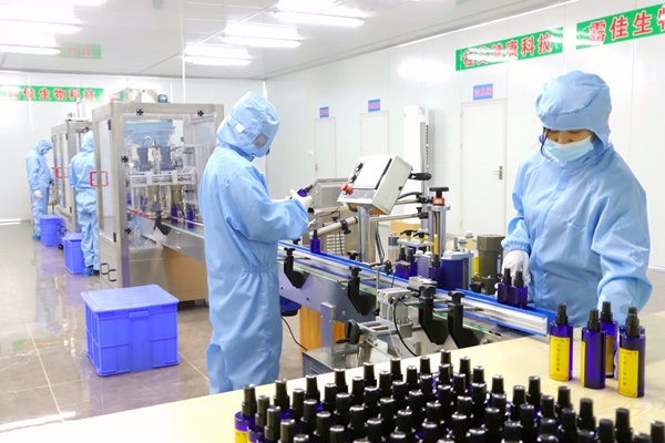 艾草精油日化用品生產(chǎn)線。劉志寧攝