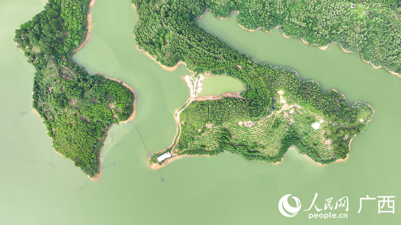 六陳水庫(kù)。人民網(wǎng) 付華周攝