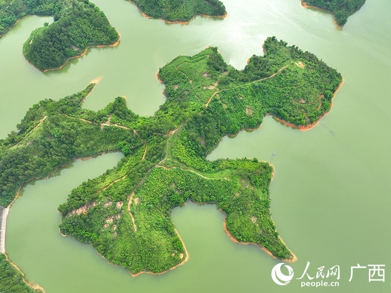 六陳水庫(kù)。人民網(wǎng) 付華周攝