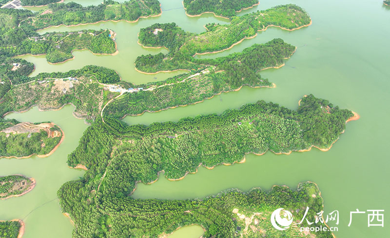 六陳水庫(kù)。人民網(wǎng) 付華周攝