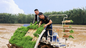 春耕備耕正當(dāng)時(shí) 糧食生產(chǎn)開局穩(wěn)