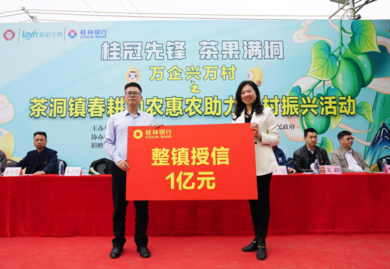桂林銀行為茶洞鎮(zhèn)整鎮(zhèn)授信1億元。桂林銀行供圖