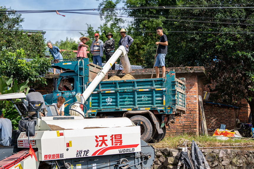 田間地頭一派繁忙景象。