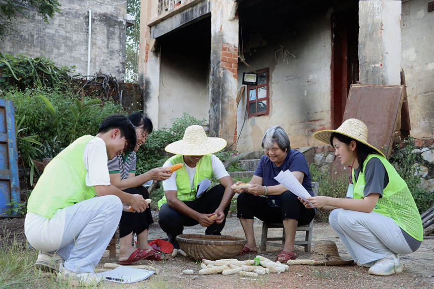 實(shí)踐團(tuán)成員認(rèn)真幫助老人們干農(nóng)活。賀鵬飛攝