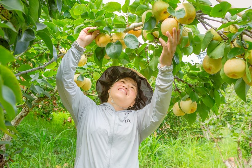 豐收的喜悅。李世華攝