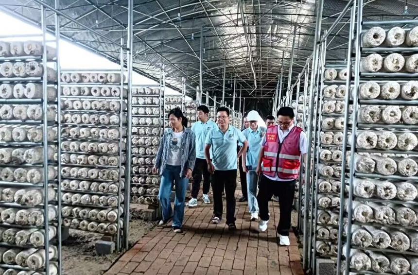 開展助農(nóng)增收調(diào)研。