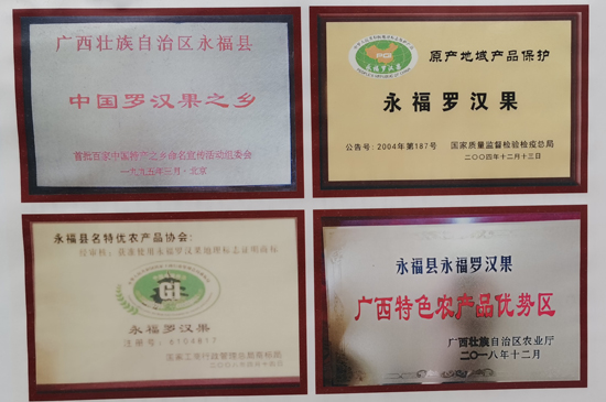 永福羅漢果成為了桂林市最亮眼的名片。永?？h委宣傳部供圖