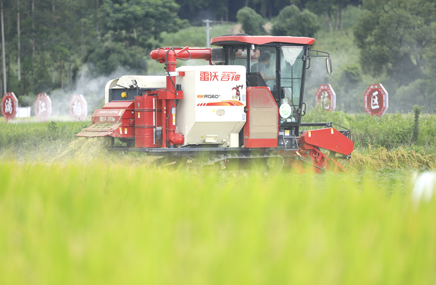 收割機(jī)正在作業(yè)。
