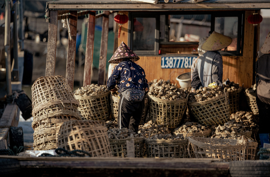 等待裝卸生蠔的村民。