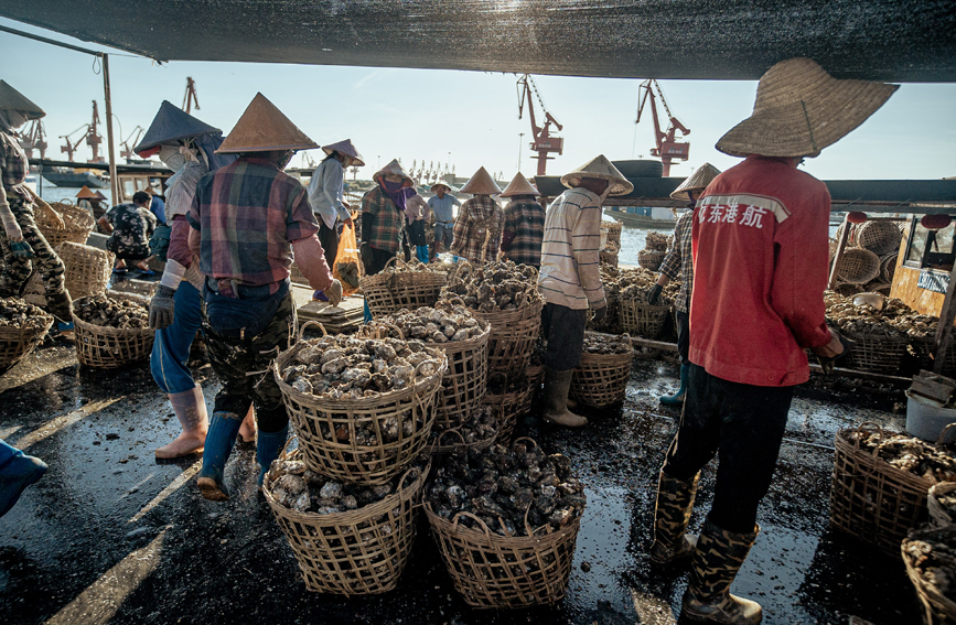 等待裝卸生蠔的村民。