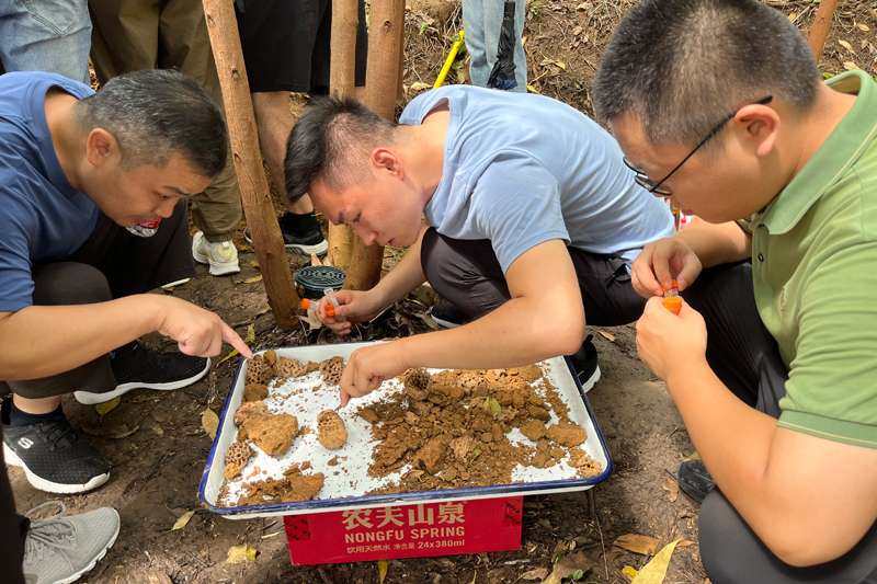 白蟻標(biāo)本采集現(xiàn)場(chǎng)。