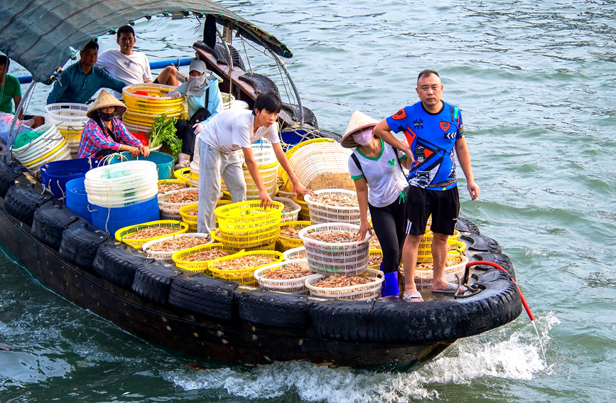 漁民收獲海鮮。徐紹榮攝