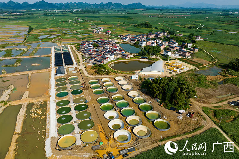 元凌村現(xiàn)代漁業(yè)田園綜合體項目。人民網(wǎng) 何寧攝