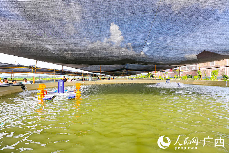 項目采用陸基圓池生態(tài)循環(huán)養(yǎng)殖技術(shù)。人民網(wǎng) 何寧攝