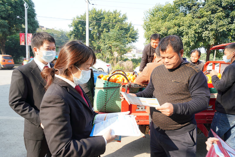 雙橋法庭干警在“沃柑一條街”向果農(nóng)果商普法。武鳴區(qū)法院供圖