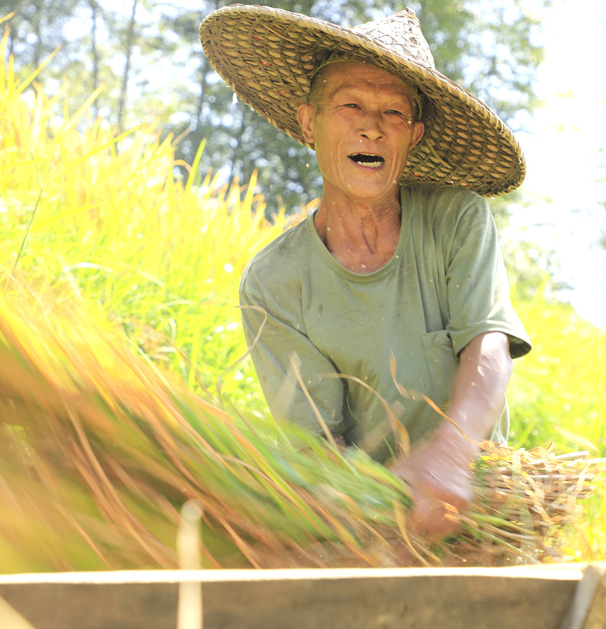 村民正在打谷子。陽海翔攝