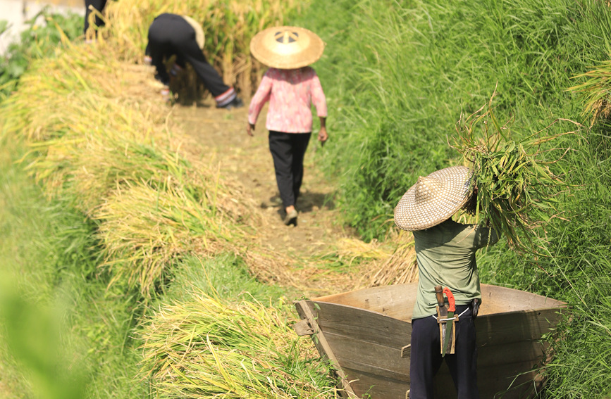 現(xiàn)場一派繁忙景象。陽海翔攝