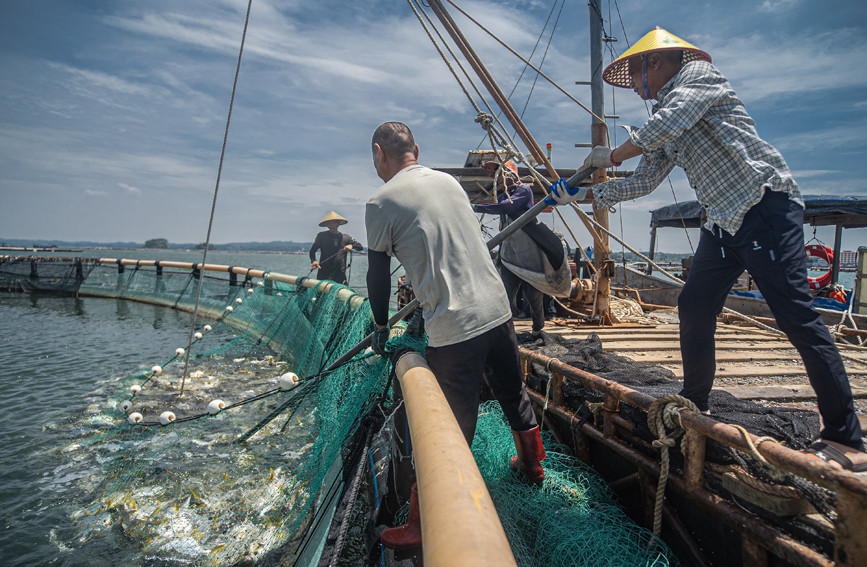 捕撈作業(yè)進行時