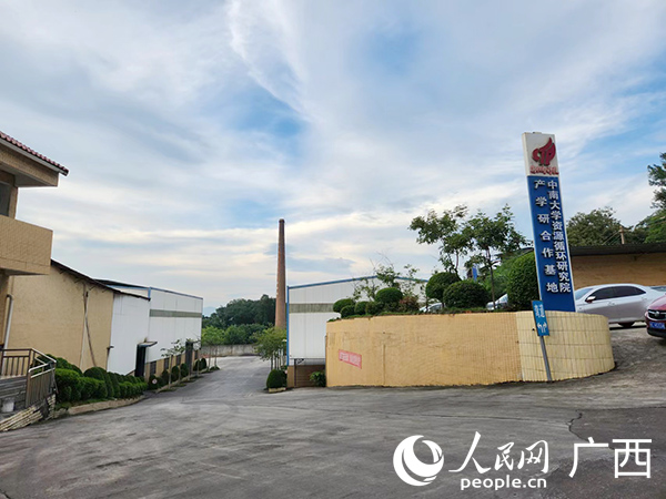 廣西萬仕智稀貴金屬科技有限公司一景。人民網(wǎng) 黃子婧攝