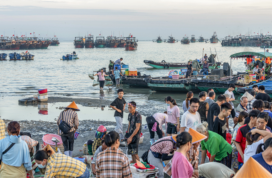 熱鬧的魚市。黃天仕攝