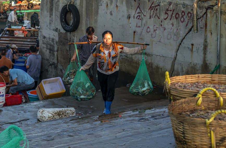 漁民將新鮮的海產(chǎn)品搬運上岸。黃天仕攝 