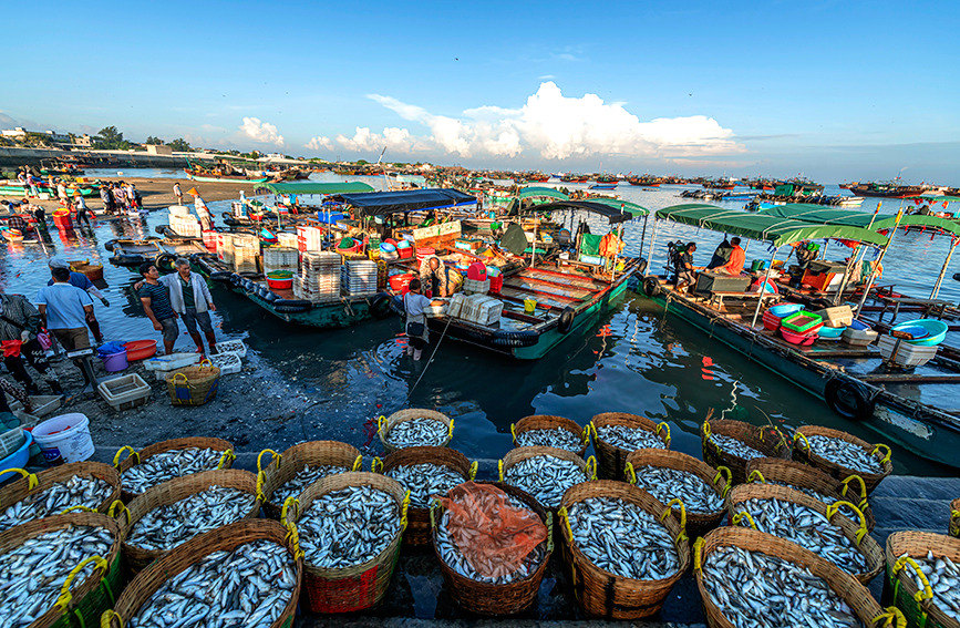 漁民收獲海鮮。黃天仕攝 