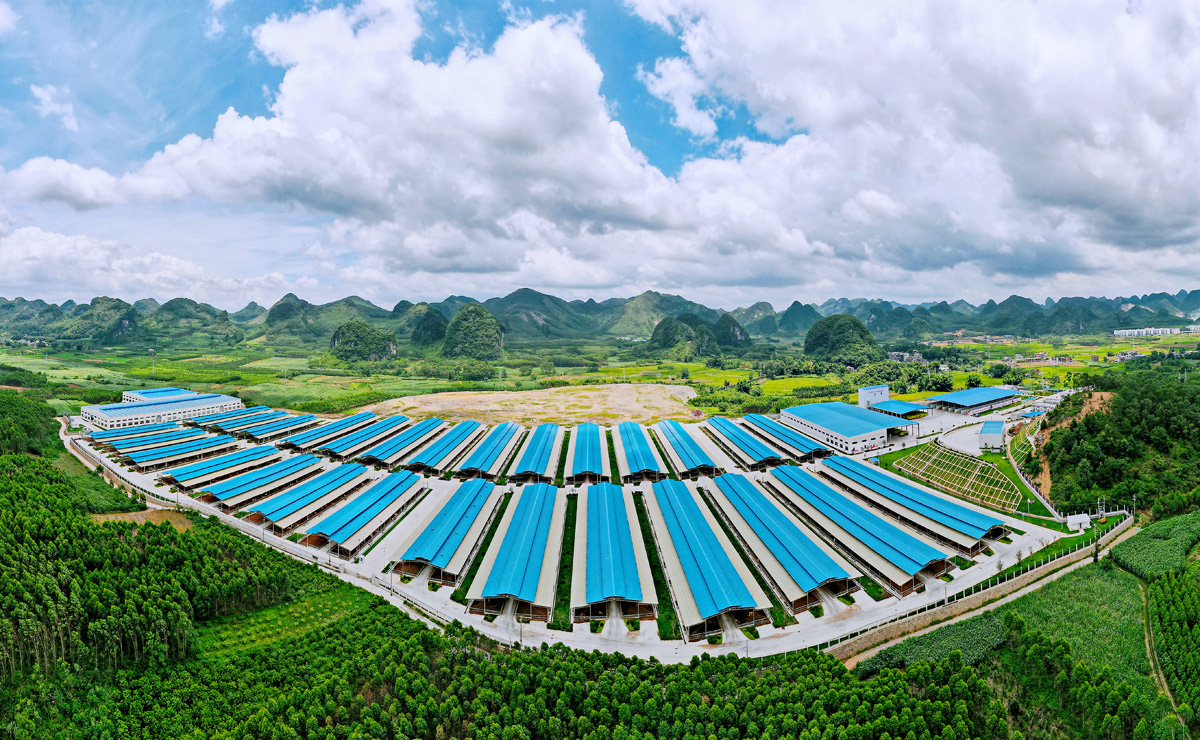 廣西來賓市忻城縣南方牛都全產(chǎn)業(yè)鏈扶貧項(xiàng)目練江養(yǎng)殖基地