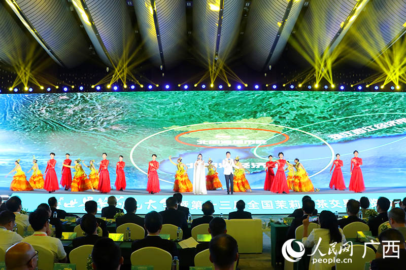 開幕式文藝演出。人民網(wǎng) 付華周攝