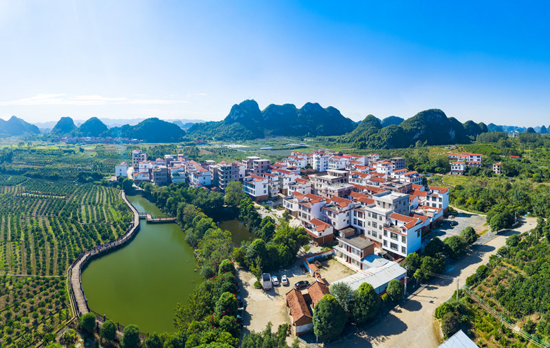 南寧市武鳴區(qū)雙橋鎮(zhèn)八橋村。梁挺攝