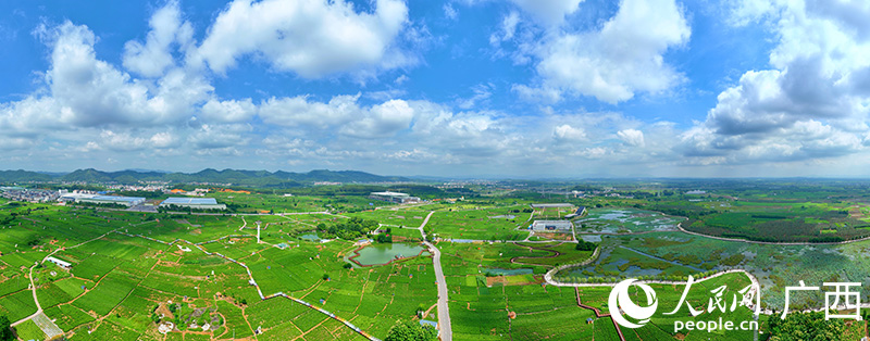 。人民網(wǎng) 付華周攝